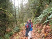 11.18.06 Latourell Falls 031 